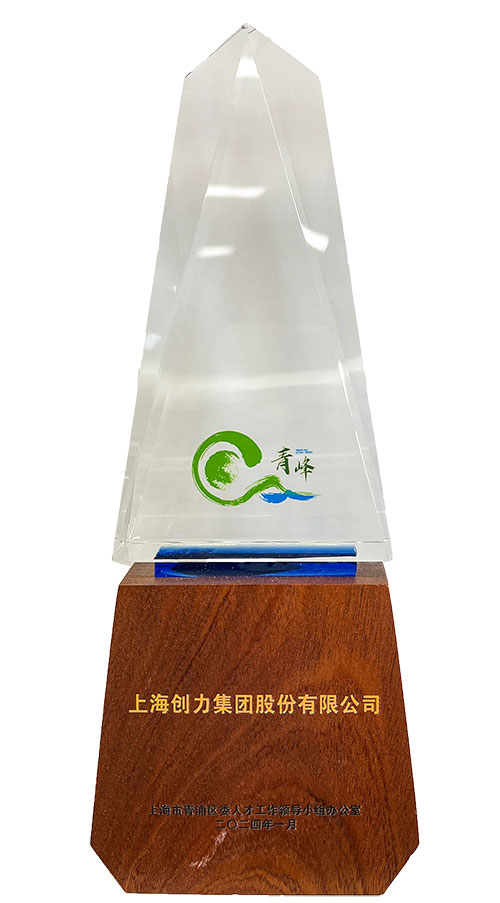 喜報！上海創(chuàng)力集團榮獲2023年度青浦區(qū)百強優(yōu)秀企業(yè)等三項大獎(圖3)